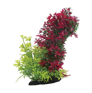 yszy2Zbgz PON-Ȃ~bNXB