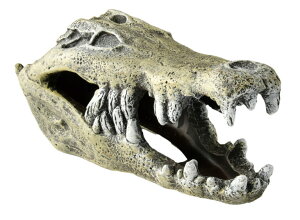 ybgCu[ ysz aquaneru ANAEI[ig@BƁ@NR_C S