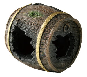 yszy3ZbgzybgCu[ aquaneru ANAEI[ig@BƁ@M