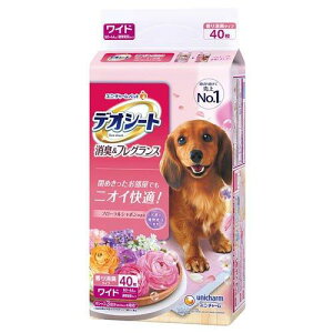 yszy6Zbgz jE`[ fIV[gLtOXt[V{̍胏Ch 40