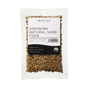 �y�����s�z�y5�Z�b�g�z ���� �\�R�j�� �i�`�������T���h �V�R�t�H�[���T���h 200ml