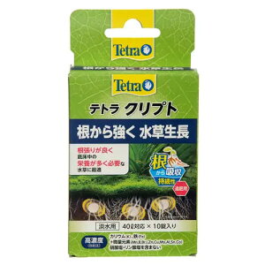 yszy6ZbgzXyNguYWp eg@Nvg 10