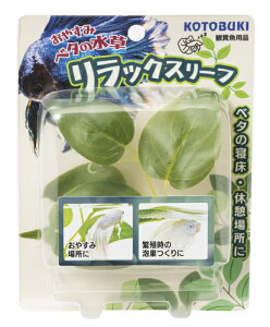 yszy3Zbgz H| x^̐LXS^Cv