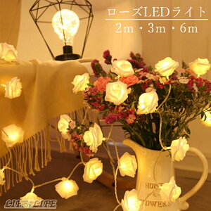 C~l[VCg LED[Yt[XgOCg dr 50d ͋C O z[p[eB[/o[/Xg/j//O//p[eBfR[V/뉀/K