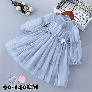 LbYhX LbYs[X ԏ  s[X `[ hX ̎q s[X q tH[} K[Y GKg Ǝ ʉ ʊw \  w  90 100 110 