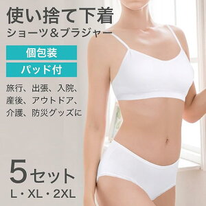 使い捨て下着 使い捨てショーツ 使い捨てブラ 使い捨てパンツ 上下セット 5セット入り 女性用 防災グッズ 入院用 災害対策 大きいサイズ ブラジャー ショーツ パンツ 旅行 出張 緊急時