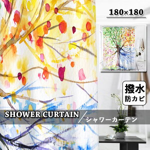 V[J[e Ȃ hJr oXJ[e CJ[e  J[e oX[ oXp Vv  ډBp   A ی tȒP  tbNt F O[ 