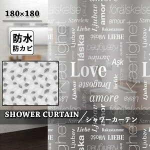 V[J[e hJr oXJ[e k CJ[e  J[e  oX[ oXpi GKg h  ʏ jbgoX A  p tȒP tbN