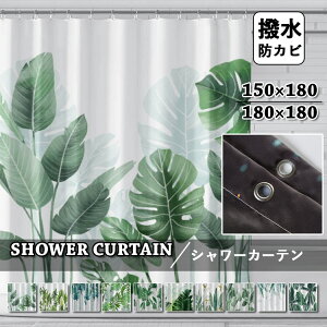 V[J[e Ȃ  tbNtA hJr J[e oXJ[e Ԏd؂ _炩 k CJ[e  J[e oX[ oXpi Vv ډBp 