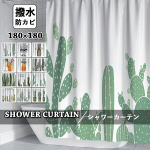 V[J[e hJr k oXJ[e CJ[e  J[e Ȃ oX[ oXpi Vv  Ց  q ʏ jbgoX  tȒPtbNt