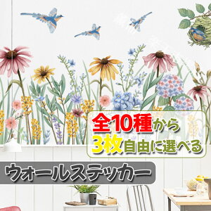 EH[XebJ[ A   V[ k 3Zbg ǎ ǎV[ 킢 ǎ V̗t 傫 A  X   p [t t t R ϗtA p[eB[ ͋C 