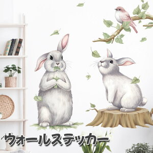 EH[XebJ[  ǎV[ ETM e    [t t q qǂ LbY 傫 V[ k ǎ 킢 p[eB[ ͋C y ȒP   xbh[