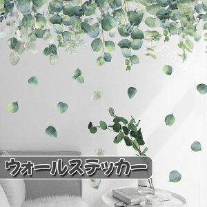 EH[XebJ[  [t t t ǎ ǎV[ k R A 傫 V[ 킢 p[eB[ ϗtA ͋C y ȒP  O[   xbh[ 