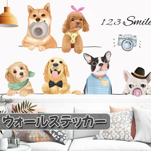 EH[XebJ[    Ck p 傫 ǎ ǎV[ V[ k R 킢 ͋C  q LbY  xbh[ p[eB[  y ȒP