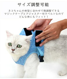 胴輪 ハーネス 猫 愛猫用 ソフトハーネス リードセット 猫用ハーネス ねこネコ子猫 抜けない 引っ張り防止 犬猫兼用 散歩用 お出かけ 通院 簡単装着 犬用 快適 装着しやい おしゃれ