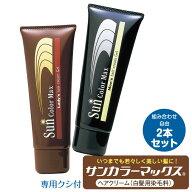 【365日出荷】 2本セット ケンコー 白髪染め サンカラーマックス メンズ レディース レギュラーサイズ 75…
