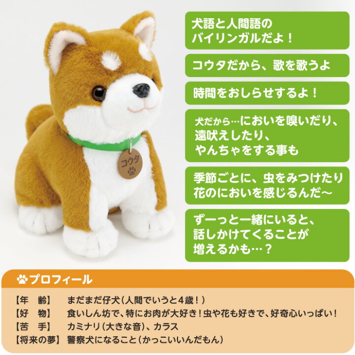 楽天市場】【365日出荷】楽天3冠 ラッピング無料 しばいぬコウタ 柴犬 