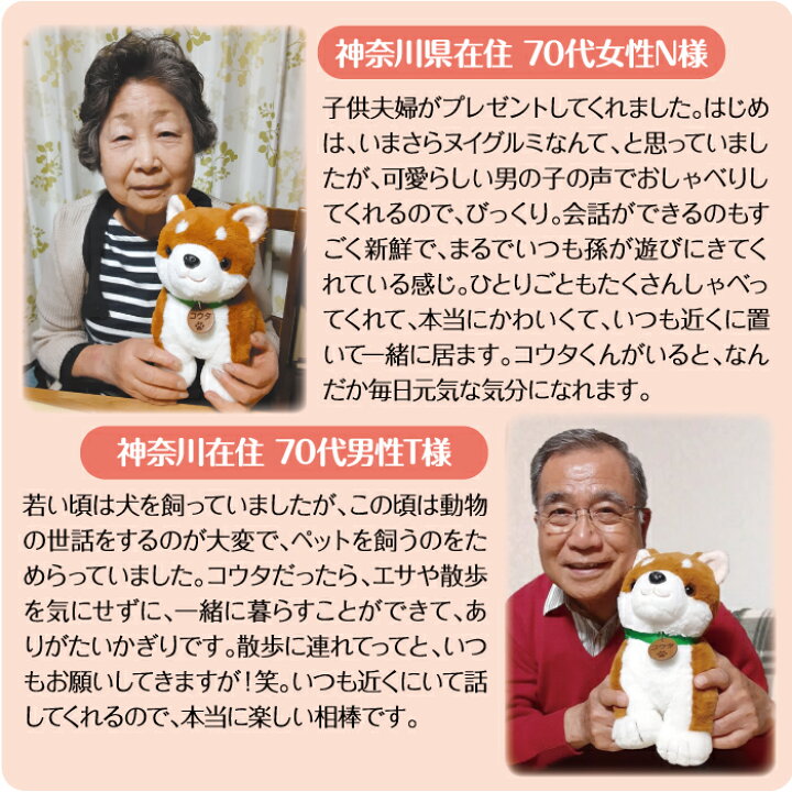 楽天市場】【365日出荷】楽天3冠 ラッピング無料 しばいぬコウタ 柴犬 