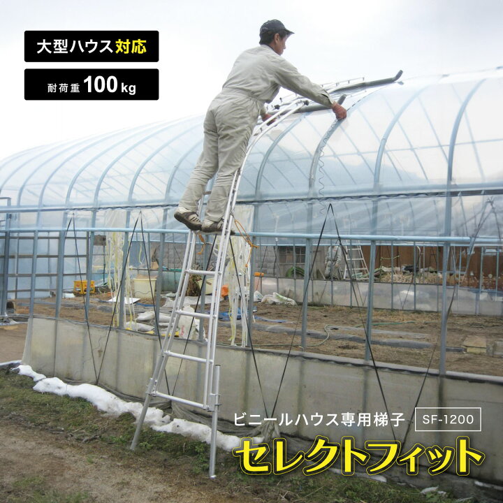 楽天市場】【法人限定】 ミツル ビニールハウス専用梯子 大型ハウス 