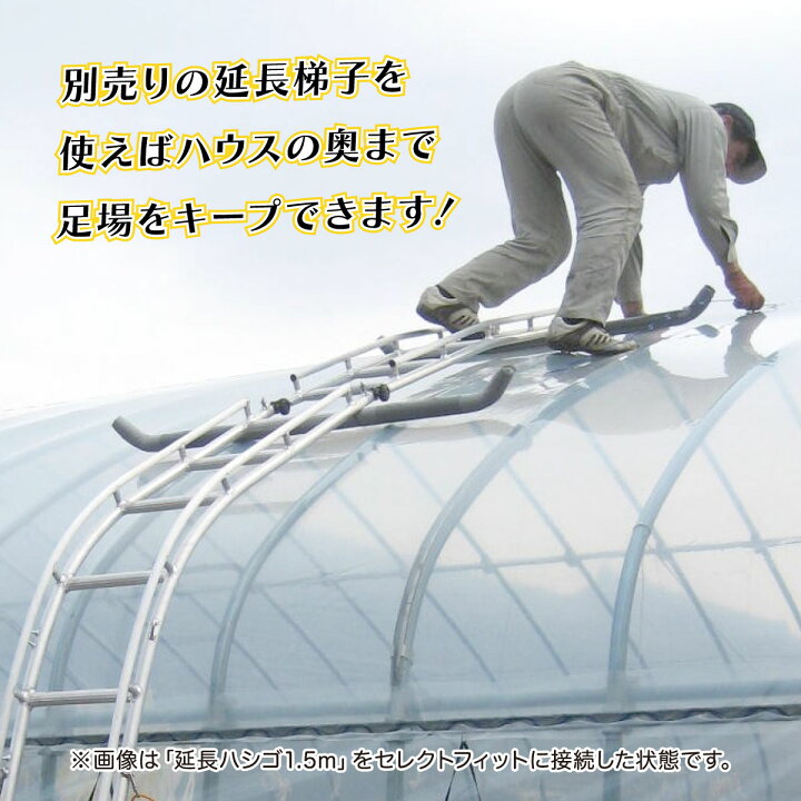 楽天市場】【法人限定】 ミツル ビニールハウス専用梯子 大型ハウス 