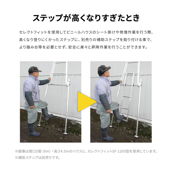 楽天市場】【法人限定】 ミツル ビニールハウス専用梯子 大型ハウス 