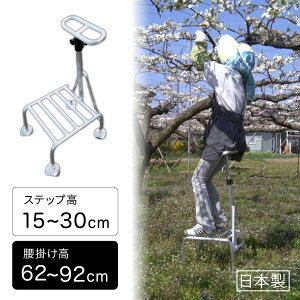 y@lz ~c qbvXebv Xebv15cm~30cm |62cm~92cm y y ݑ _ | ʎ n _ _ K[fjO ֗ ObY yiz