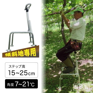 y@lz ~c XΒnp qbvXebv Xebv15cm~25cm px7~21 y y ݑ _ | ʎ n _ _ K[fjO ֗ ObY yiz