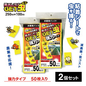 V[g ߒV[g F ݂邵GET~j ̓^Cv 50 2Zbgiv100j GTMK-50 ߒ S V[g CG[ ߒ Q쏜 gbv nG  Ƃ ΍ ⒎ nG