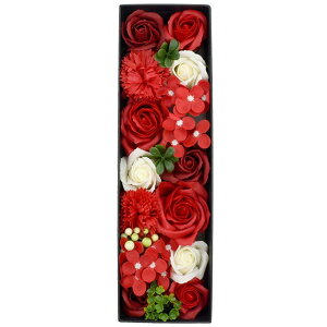  Mtg \[vt[ O{bNX Mtg v[g KN ԑ AWg BOX@ v`Mtg a   \ ސE  j ̓   񎟉 {b