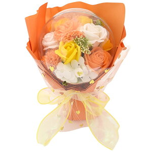  Mtg \[vt[ o[ Mtg v[g ԑ AWg BOX  v`Mtg a   \ ސE  j ̓   񎟉 {bNXAW