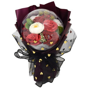  Mtg \[vt[ o[ Mtg v[g ԑ AWg BOX  v`Mtg a   \ ސE  j ̓   񎟉 {bNXAW