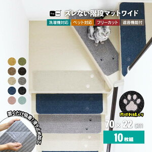 y10gz Rugtasu 􂦂 Ki}bg 70cm×22cm O^X ĂĂ 10Zbg z ~ }bg  L ybg q ΍  ی Kip t[Jbg  h  J[