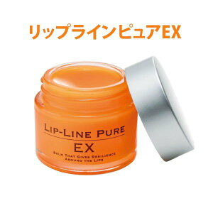 yX[p[DEAL 10%|CgobN 12/11 9:59܂Łzglim(O) bvCsA EX Op тPA bvPA ΍  ێ V΍   