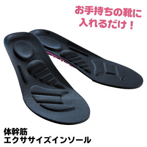 ̊؃GNTTCYC\[ ̊{[ cC{[ _CGbg C\[ EH[LO J[ |Cg