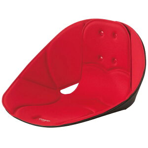 {[hNbV cosios RVIX ɑ΍ ՋNbV e[N p w  K x jp