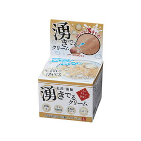 杜氏の酒粕 湧き出るクリーム 日本製 送料無料 涌き出るクリーム マイノロジ