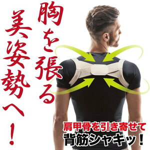 �y�y�V�労�Ӎ� �|�C���g5�{ 12/19 20:00~�z�����Y�e���ɂ��Ȃ�ɂ��� �s�[���Ɣw�؃x���g �p������ �L�w���� �p���␮ �C���i�[ �w�� ���b�� �w�؃x���g �j���p