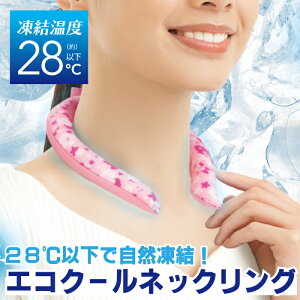 yX[p[Z[ NAXizGRN[lbNO [ u[ 1 / 2Zbg] SDGs lbNN[[ N[O M˕a΍ ނ AEghA Lv