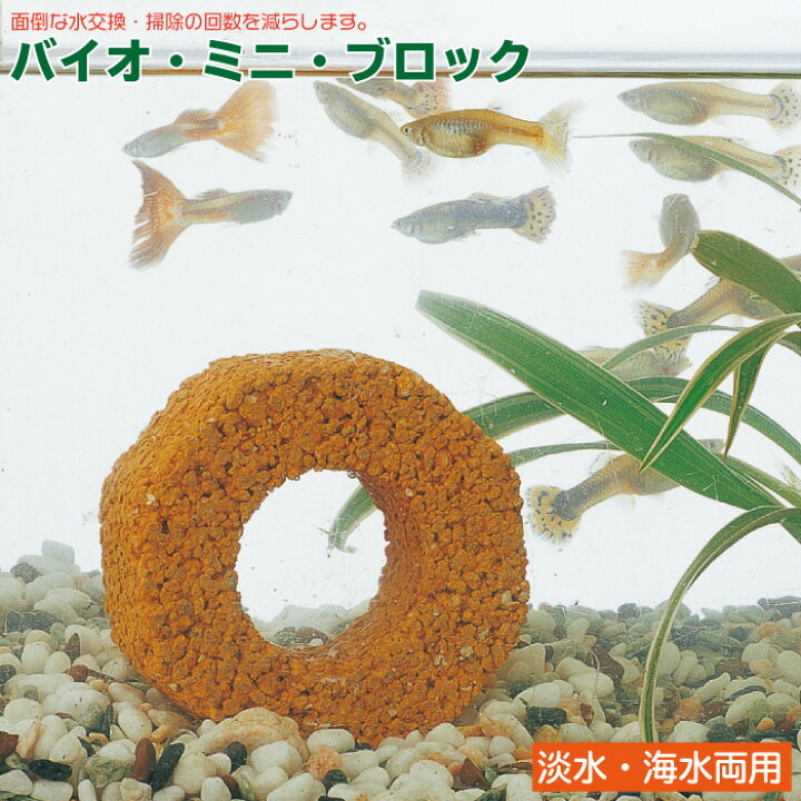 楽天市場】【ポイント5倍 お買い物マラソン 4/4 20:00～】 バイオ 
