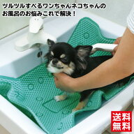 【 スーパーSALE ポイント10倍 9月4日20時～ 】 【 クリアランス 】 ペットマット すべりにくいワンだシ…