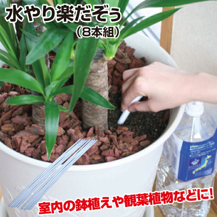 楽天市場 水やり楽だぞう 8本組 ペットボトル キャップ 自動給水 自動水やり 鉢植え 水やり 自動 アーランド Life Allsome ライフオーサム