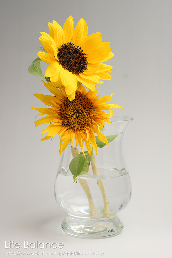 気楽にお花を飾れるフラワーベース 限定価格セール フラワーベース DUSKポット 842-3 S 早割クーポン 花瓶