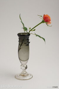 KXH[@Fuji321 t@ԕriSj @