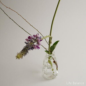 KXH[@Fuji321@ԓ@Ԋ@Ẍց@XNGA