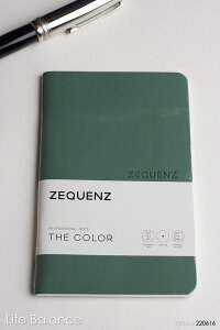 ɓ@ZEQUENZ@THE COLOR@vtFbVim[g@WFCh@ZQC 3747