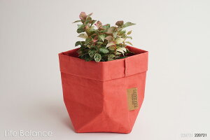 UASHMAMA ウォッシュママ ペーパーバッグS Corallo 室内用 イタリア製 鉢カバー 収納