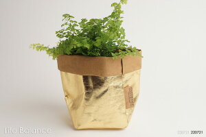 UASHMAMA@EHbV}}@y[p[obOS@Avan /Goldp@C^A@Jo[@[