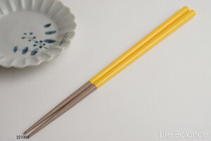 HΉ@@{@܂@COLLABORATION@}q X ܂@HASAMI SEASON 01 }X^[h@22.5cm@G-64592