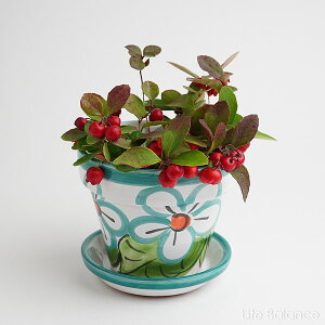 XyC@nG@ v^[@MAG Aؔ@Mt