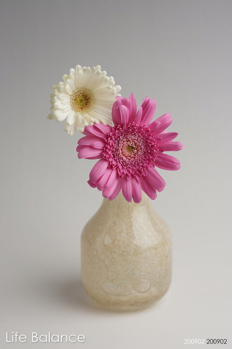 楽天市場 Henry Dean ヘンリーディーン フラワーベース ガラス 花器 花瓶 バルバットxs リンクス Life Balance ライフバランス